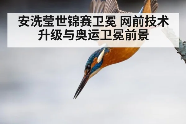 安洗莹世锦赛卫冕 网前技术升级与奥运卫冕前景